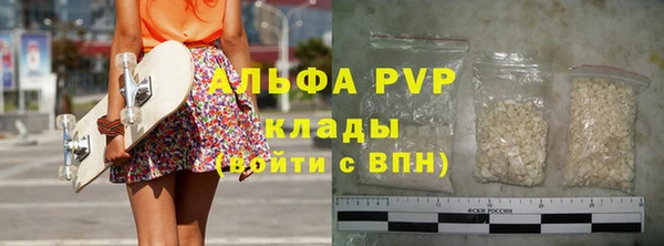 шишки Медвежьегорск