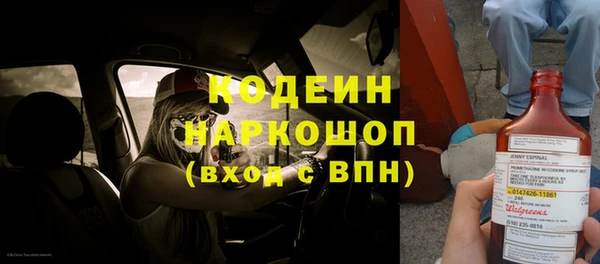 шишки Медвежьегорск