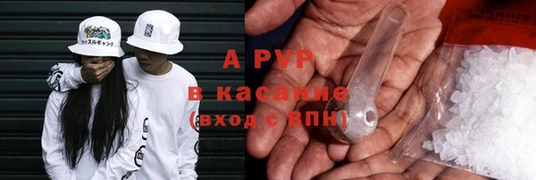 шишки Медвежьегорск