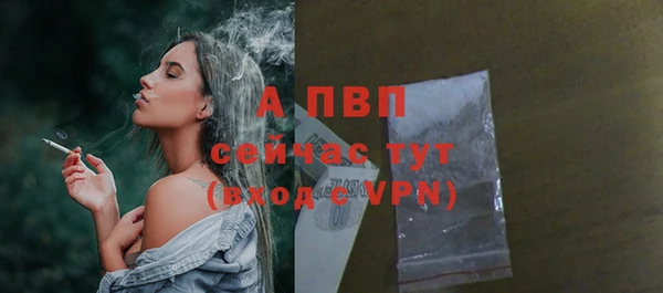 шишки Медвежьегорск
