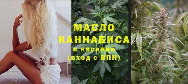 шишки Медвежьегорск