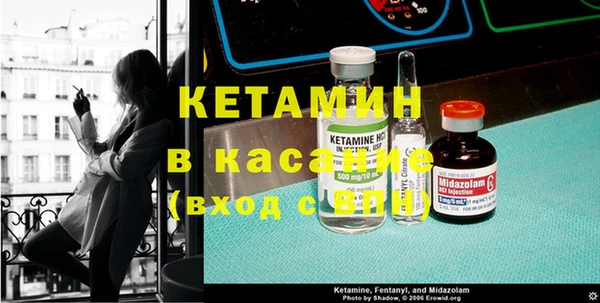 шишки Медвежьегорск