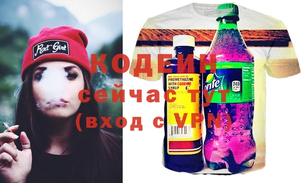 шишки Медвежьегорск