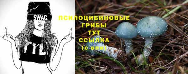 шишки Медвежьегорск