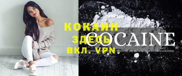 шишки Медвежьегорск